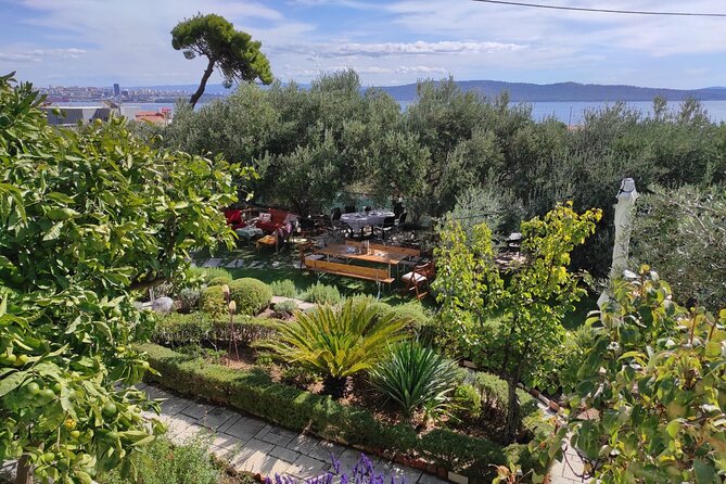 Zinfandel Wine Tasting & Storytelling with Dalmatian Food - A good option for families and mixed groups